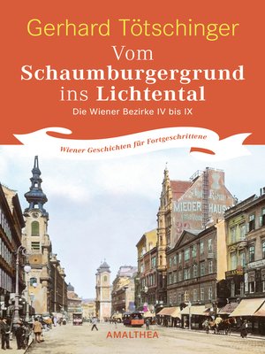 cover image of Vom Schaumburgergrund ins Lichtental